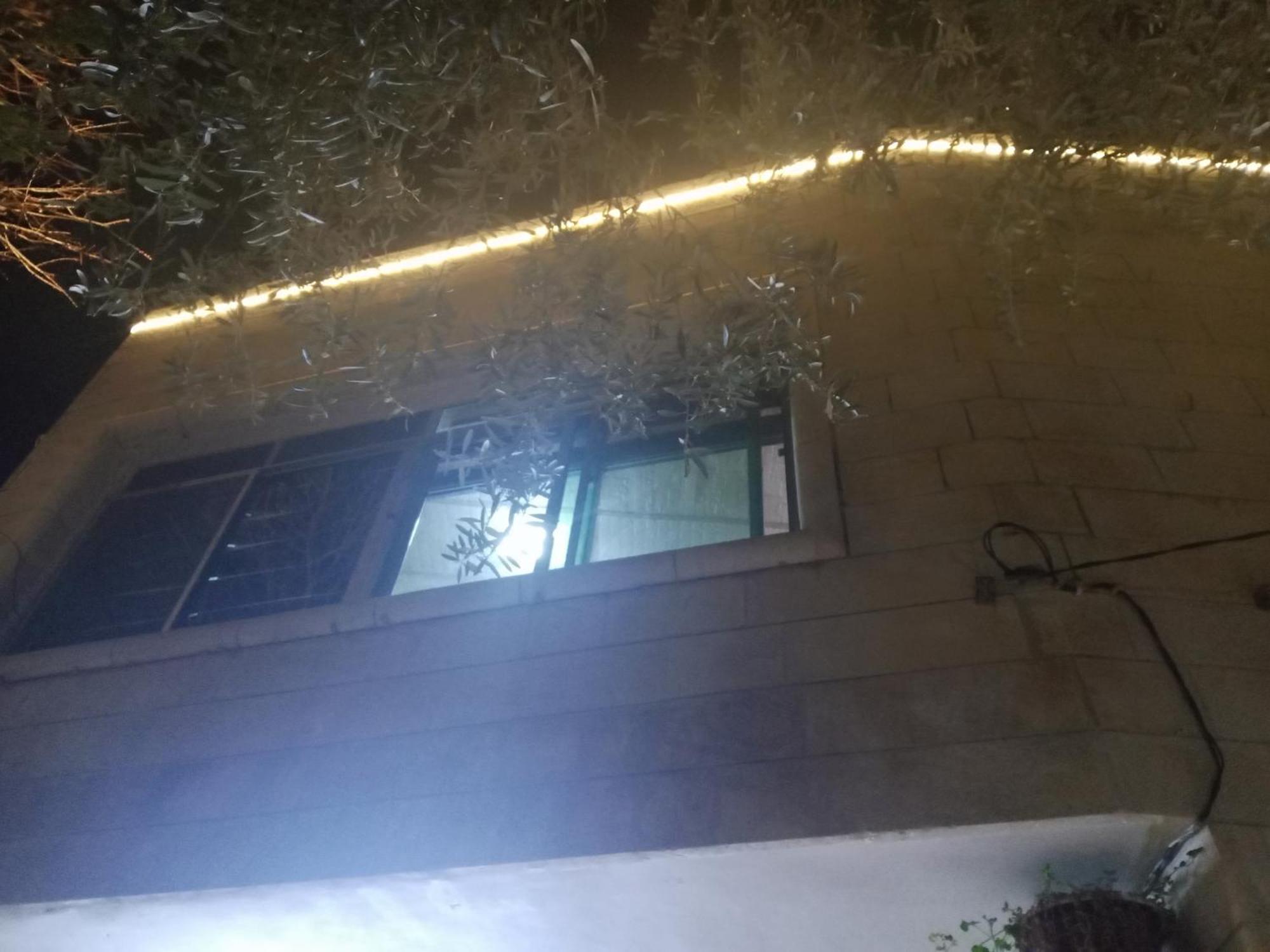 ג'אראש Flower 2 מראה חיצוני תמונה