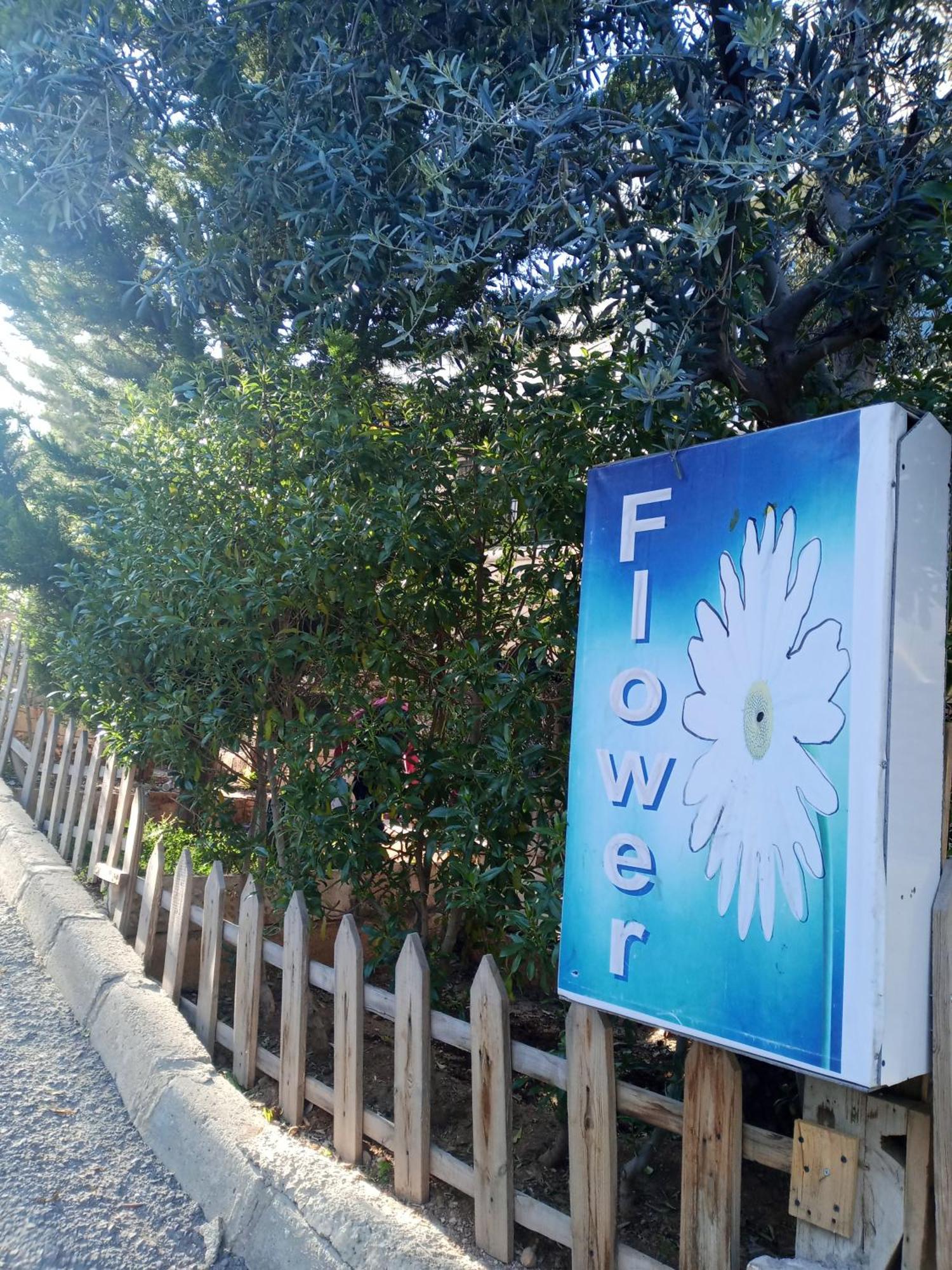 ג'אראש Flower 2 מראה חיצוני תמונה